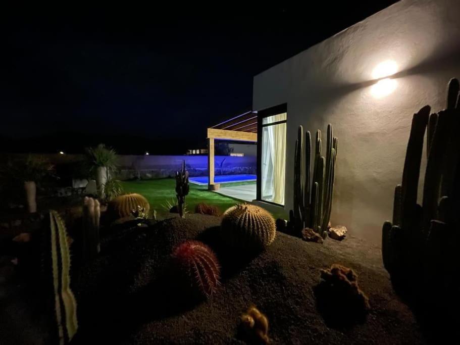 Bungalow + Piscina Independiente La Oliva Zewnętrze zdjęcie